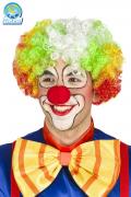 FANTASTIQUE PERRUQUE DE CLOWN MULTICOLORE - ADULTES SUR LE THÃME DE PARTIE , PARTIE , DÃGUISEMENT