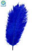 Piuma Royal 30 Cm Accessorio Di Carnevale