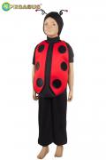 Costume Di Carnevale Recite Da Coccinella