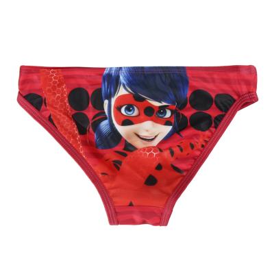 costume mare ladybug