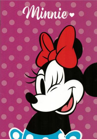 5 Quadernoni Quaderni maxi A/4 - DISNEY MINNIE - Rigatura 10mm
