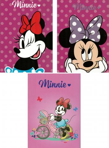 5 Quadernoni Quaderni maxi A/4 - DISNEY MINNIE - Rigatura 10mm