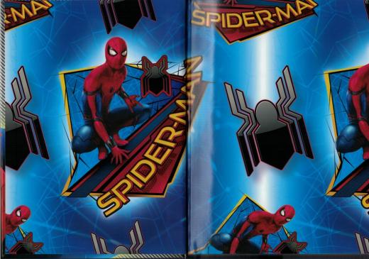 DIARIO AGENDA SCUOLA DISNEY MARVEL SPIDERMAN - 10 Mesi b