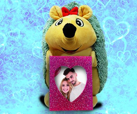 PELUCHE RICCIO SAN VALENTINO CON CORNICE PORTAFOTO 20 cm