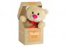 Peluche ORSETTO con Scatola - MIGLIOR NONNA